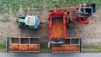 Bio-Landwirtschaft in Niedersachsen wächst