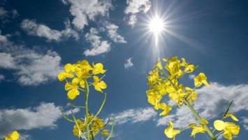 Sonniger Muttertag in Niedersachsen und Bremen erwartet