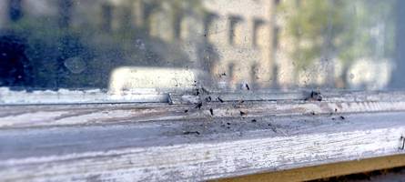 Fenster an Augsburger Schulen sollen erstmals seit vier Jahren wieder geputzt werden