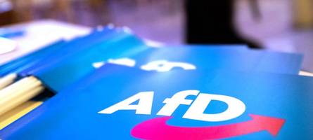 gruppe von privatpersonen organisiert demo für afd-verbotsverfahren