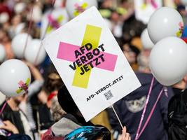 Debatte um Parteienverbot: Thüringer Verfassungsschutz-Chef für AfD-Verbotsverfahren