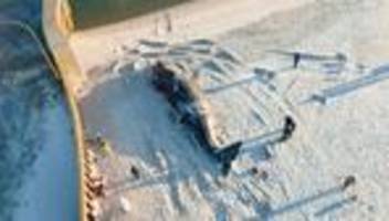 Giganten in Sicht: Mehr Wale in Ost- und Nordsee