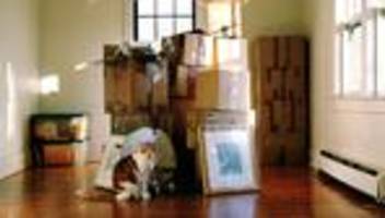 Ortswechsel: Das ist leider der Preis, den ich für meinen Job zahlen muss