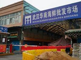 Analyse widerspricht Laborthese: Studie: Wildtierhandel brachte Corona wohl nach Wuhan