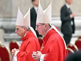 einblicke ins konklave: kardinäle berichten: so stach leo xiv. papst-favoriten aus