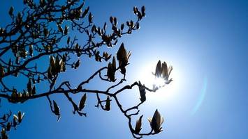 Viel Sonne zum Wochenstart in Niedersachsen und Bremen