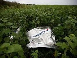 298 Menschen starben: UN-Luftfahrtbehörde gibt Russland Schuld an MH17-Abschuss