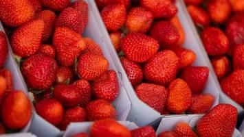 Zum Stand oder in den Supermarkt? Was Erdbeeren in Berlin kosten