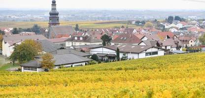 Friedrich Merz: Kanzler lädt Donald Trump zu Besuch in pfälzische Heimatort Kallstadt ein
