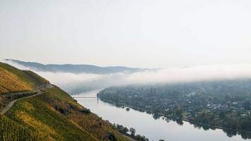 Winzer: Wenn der Traum vom Weingut zum Albtraum wird