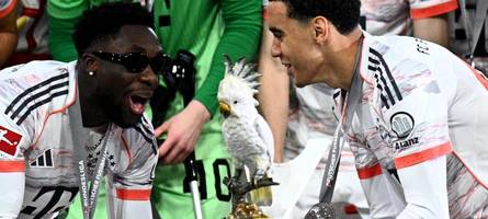 Kakadu des FC Bayern gibt weiter Rätsel auf