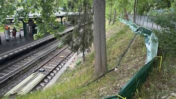 Krötenzaun am U-Bahnhof Krumme Lanke gibt Rätsel auf