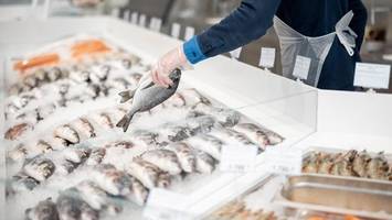 Insolventer Hamburger Fischhändler gerettet – das planen die Chefs