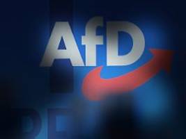 Verfassungsschutz-Gutachten: Warum ein Verbot der AfD schwierig, fast unmöglich wäre