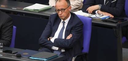 Friedrich Merz tritt bei AfD-Verbotsverfahren auf die Bremse
