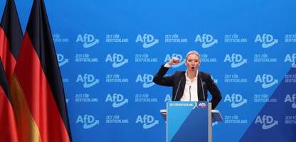 AfD: Wie die rechtsextreme Partei mit Fake-Geschichte Politik macht