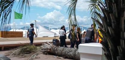 Filmfestspiele in Cannes: Umstürzende Palme trifft Festivalbesucher