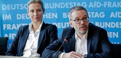 Rechtspopulismus: Was kann Deutschland von Österreich lernen