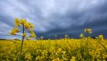 wetter: sonniger wochenstart - schauer und gewitter folgen