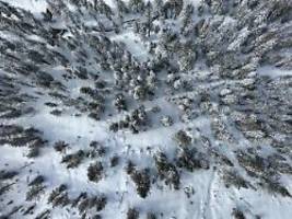 nach sturz von klippe: vermisste wanderin überlebt wochenlang in eisiger wildnis