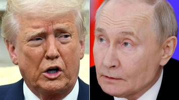 Trump will mit Putin telefonieren: So läuft das Gespräch ab