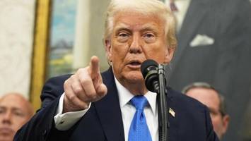 trump fordert ermittlungen gegen springsteen, beyoncé & co.