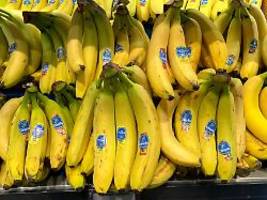unrechtmäßig arbeit gestoppt: chiquita feuert tausende streikende mitarbeiter