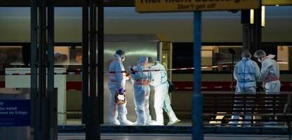Hamburg - Messerangriff am Hauptbahnhof: »Dann haben wir das Blut gesehen«