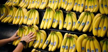chiquita will wegen streik in panama tausende arbeiter entlassen