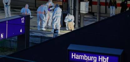 hamburg: tatverdächtige der messerattacke vom hauptbahnhof wird haftrichter vorgeführt