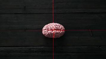 Sakana AI: Nun kommt Künstliche Intelligenz, die wie ein Mensch denkt – und schummelt