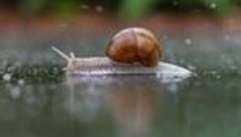 wetter: kein sommer zum wochenstart - gewittergefahr am mittwoch