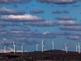 Erneuerbare Energien: Warum die Welt nach Australien schauen sollte