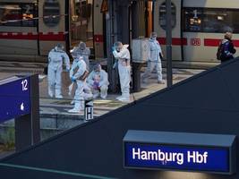 Messerattacke am Hamburger Hauptbahnhof: Warum wird eine potenziell gefährliche Patientin aus der Psychiatrie entlassen?