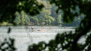 Baden oder Bäume: Was an Schlachtensee und Krumme Lanke passiert