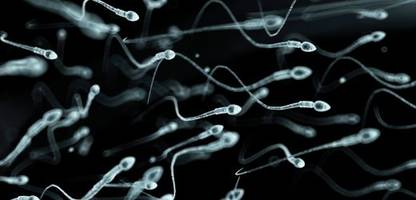 samenspende: das risiko der massen-samenspende