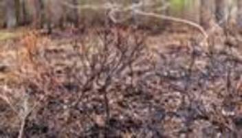 bevölkerungsschutz: waldbrandgefahr - saarland setzt auf aufklärung