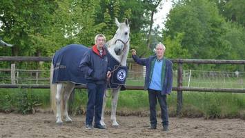 Hamburger Derby: Das sind die Macher hinter dem Reitsportspektakel