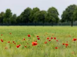 Spitzen bis um die 30 Grad: Der Sommer klopft am Wochenende an die Tür