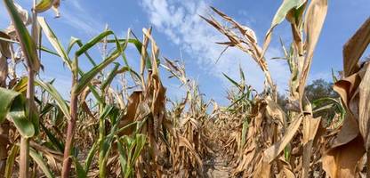 Klimawandel: Uno-Wetterbehörde rechnet mit Rekordtemperaturen in kommenden Jahren