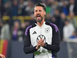 sandro wagner beim fc augsburg: mehr farbe für die graue maus