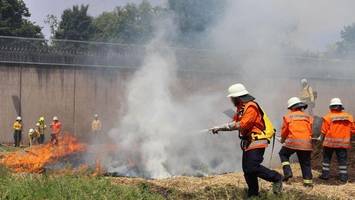 straftäter im löschen von waldbränden geschult