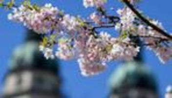 wetterbilanz: frühjahr in sachsen-anhalt laut wetterdienst zu warm