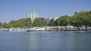 Hund gestorben – Warnung vor Blaualgen am Tegeler See