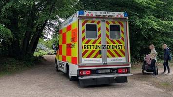 Dramatische Szenen: Wildschwein greift Besucherin in Wildgehege an