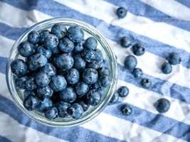Das blaue Wunder: Die Heidelbeere ist die Karriere-Beere im Obstkorb
