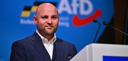 AfD-Landesparteitag: Frohnmaier ist baden-württembergischer Spitzenkandidat