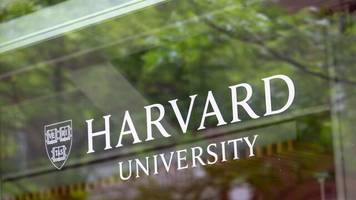 studieren in den usa: us-regierung zielt erneut auf harvard ab