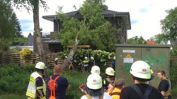 Ahrensburg: 15 Meter hohe Birke kracht auf Einfamilienhaus