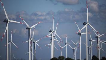 Das sind die acht möglichen Standorte für Windräder in Berlin